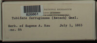 Image Associated With the Occurence